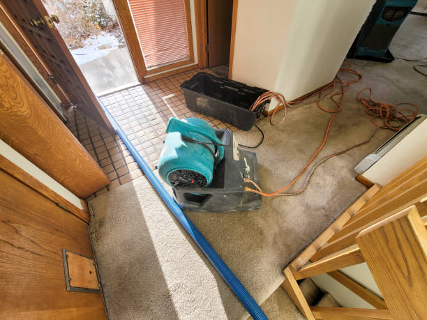Best Basement water damage restoration  in Villa Rica, GA