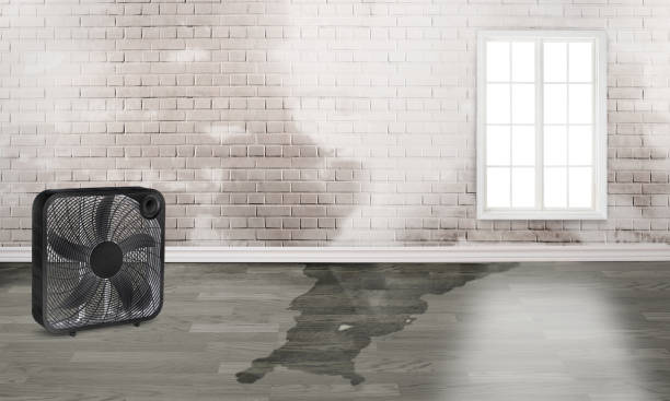 Best Local water damage restoration  in Villa Rica, GA