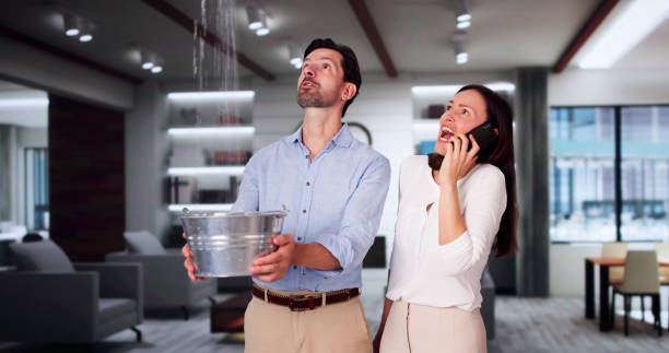Best Water damage cleanup near me  in Villa Rica, GA
